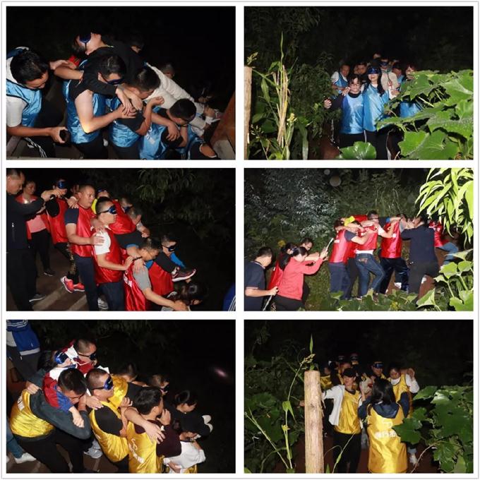 timg (5).jpg timg (5).jpg