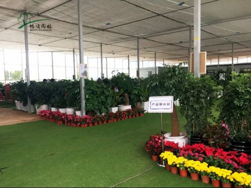 【企業(yè)走訪】云南大學(xué)總裁班學(xué)員企業(yè)——昆明博域園林綠化工程有限公司199.jpg 【企業(yè)走訪】云南大學(xué)總裁班學(xué)員企業(yè)——昆明博域園林綠化工程有限公司199.jpg