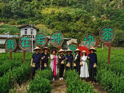 【企業(yè)走訪】——走訪陜西分院總裁1班學員企業(yè)丹鳳秦鼎茶業(yè)有限公司