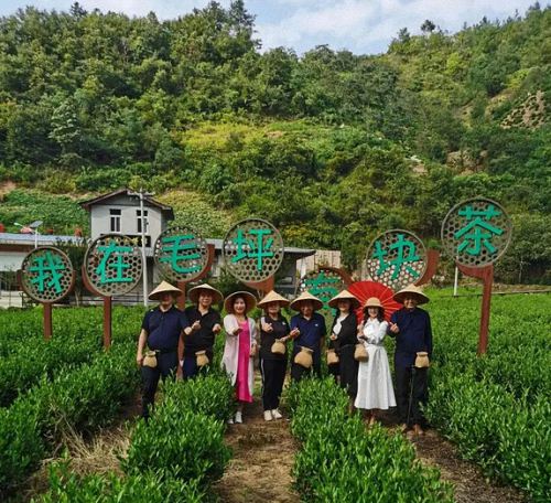 【企業(yè)走訪(fǎng)】——走訪(fǎng)陜西分院總裁1班學(xué)員企業(yè)丹鳳秦鼎茶業(yè)有限公司193.jpg 【企業(yè)走訪(fǎng)】——走訪(fǎng)陜西分院總裁1班學(xué)員企業(yè)丹鳳秦鼎茶業(yè)有限公司193.jpg