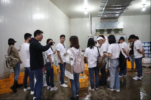 【企業(yè)走訪】——走訪云南事業(yè)部總裁33班元謀縣蔬菜有限責(zé)任公司219.jpg 【企業(yè)走訪】——走訪云南事業(yè)部總裁33班元謀縣蔬菜有限責(zé)任公司219.jpg