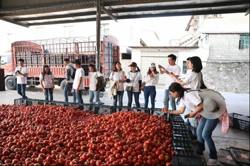 【企業(yè)走訪】——走訪云南事業(yè)部總裁33班元謀縣蔬菜有限責(zé)任公司358.jpg 【企業(yè)走訪】——走訪云南事業(yè)部總裁33班元謀縣蔬菜有限責(zé)任公司358.jpg