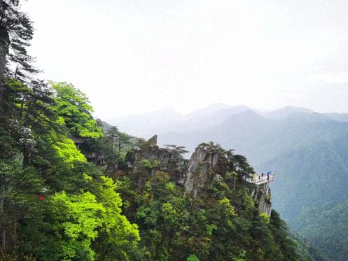 博海國濟商學院贛州總裁21班吉安片區(qū)同學企業(yè)走訪交流活動7293.jpg 博海國濟商學院贛州總裁21班吉安片區(qū)同學企業(yè)走訪交流活動7293.jpg